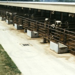 fenceline-feed-sections